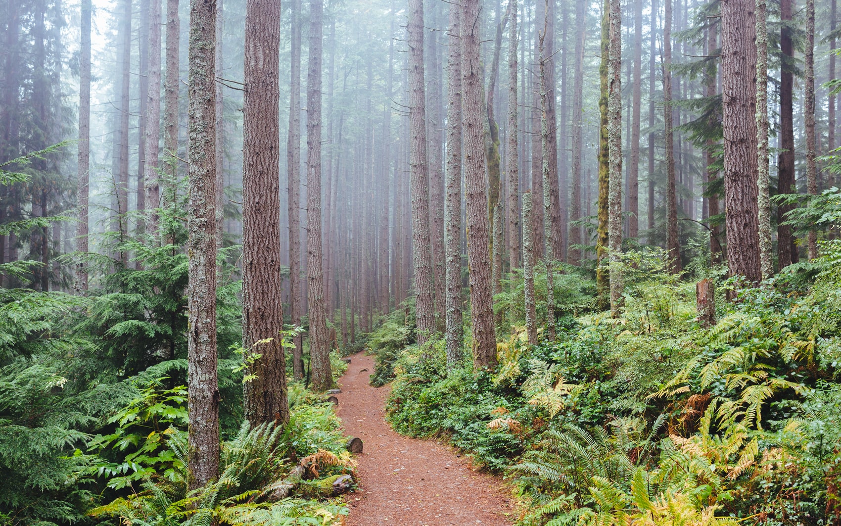 Path9